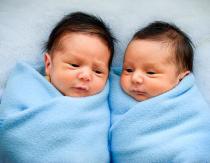 Беременность двойней на УЗИ: отличительные признаки