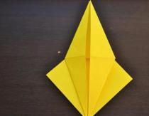 Moving origami fish from paper How to make fish from cardboard