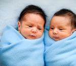 Twin pregnancy on ultrasound: distinctive signs