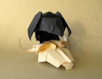 Ways to make a crow mask Bird from fabric: video