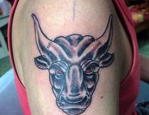 Meaning of bull tattoo Inflated bull drawing